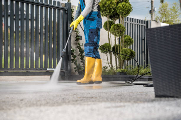 Best Building Exterior Washing  in Marine, IL